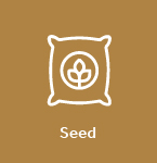Seed and Agonomy