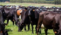 Time to shine—is your farm ready? Time to shine—is your farm ready?