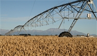 Measure or model—decision support for Irrigation Best Practice Measure or model—decision support for Irrigation Best Practice