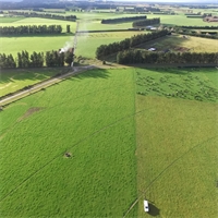 Options open up to lower farm footprint Options open up to lower farm footprint