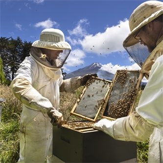 Family in tune with bees’ needs