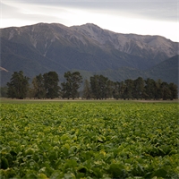 Agri-Chemical Update Winter 2023 Agri-Chemical Update Winter 2023