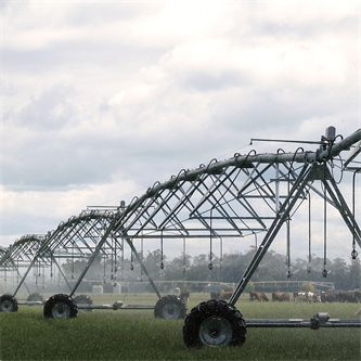 New study sheds light on reducing nutrient losses on irrigated farms 