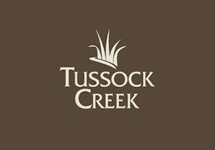 Tussock Creek