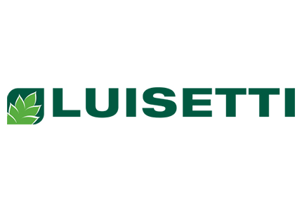 Luisetti