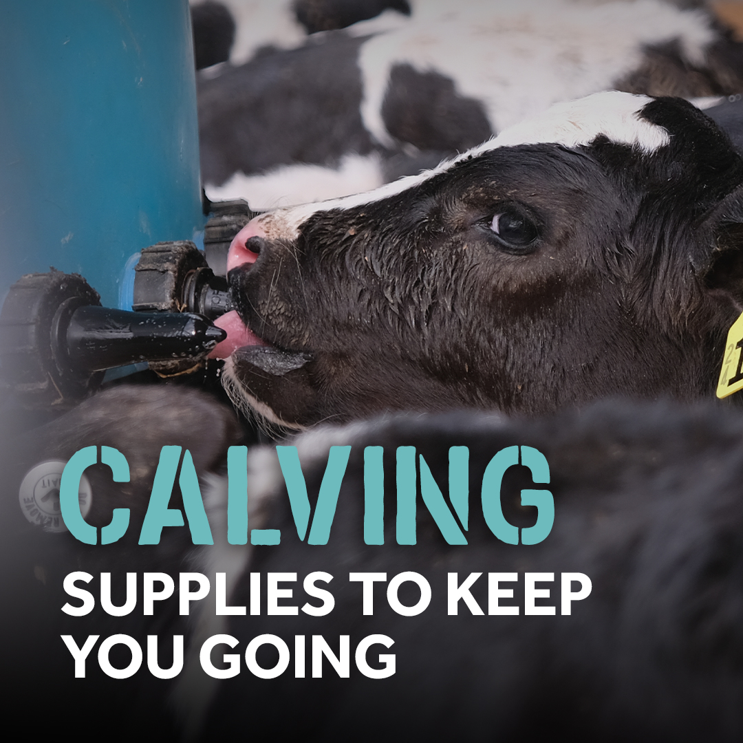 Calving supplies to keep you going