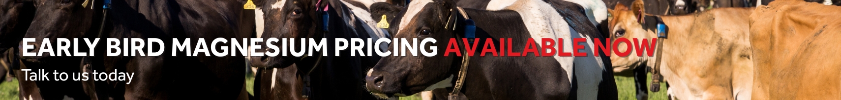 Early bird magnesium pricing available now