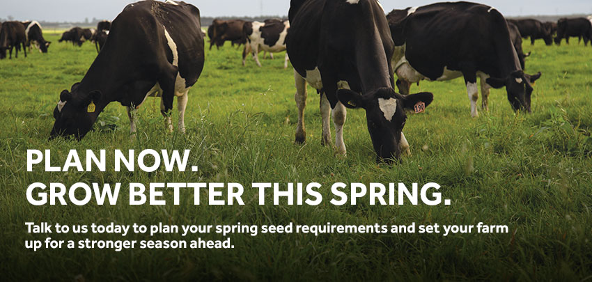Talk to us today to plan your spring seed requirements and set your farm up for a stronger season ahead.