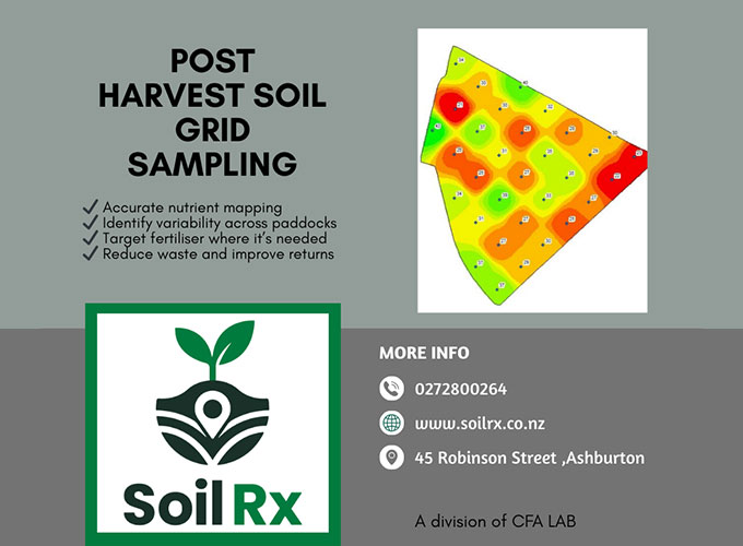 Canterbury Feed Assessment