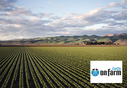 On Farm Data