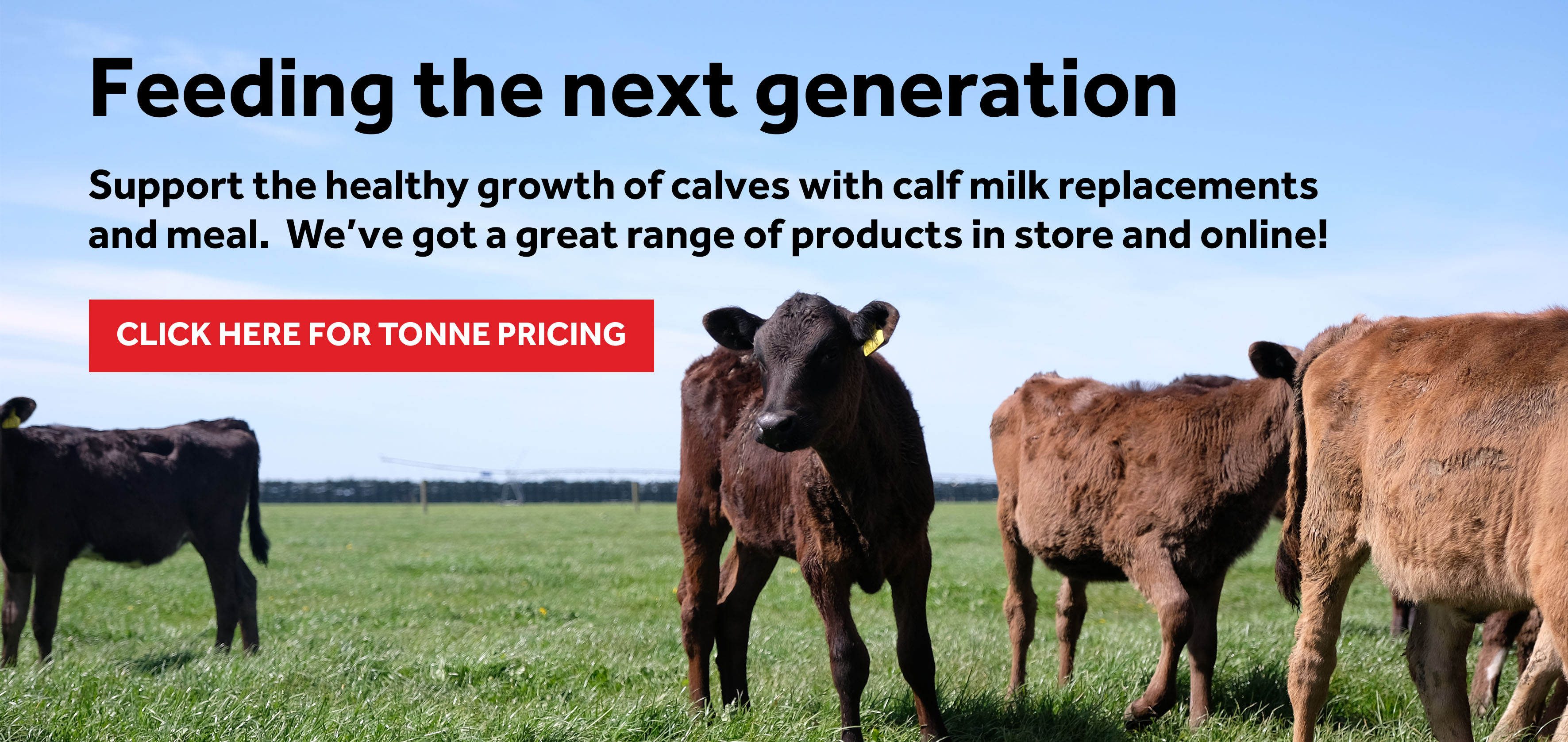 Feeding the next generation with CMR 