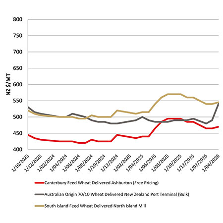 Feed wheat comparison