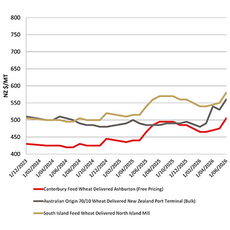 Feed wheat comparison