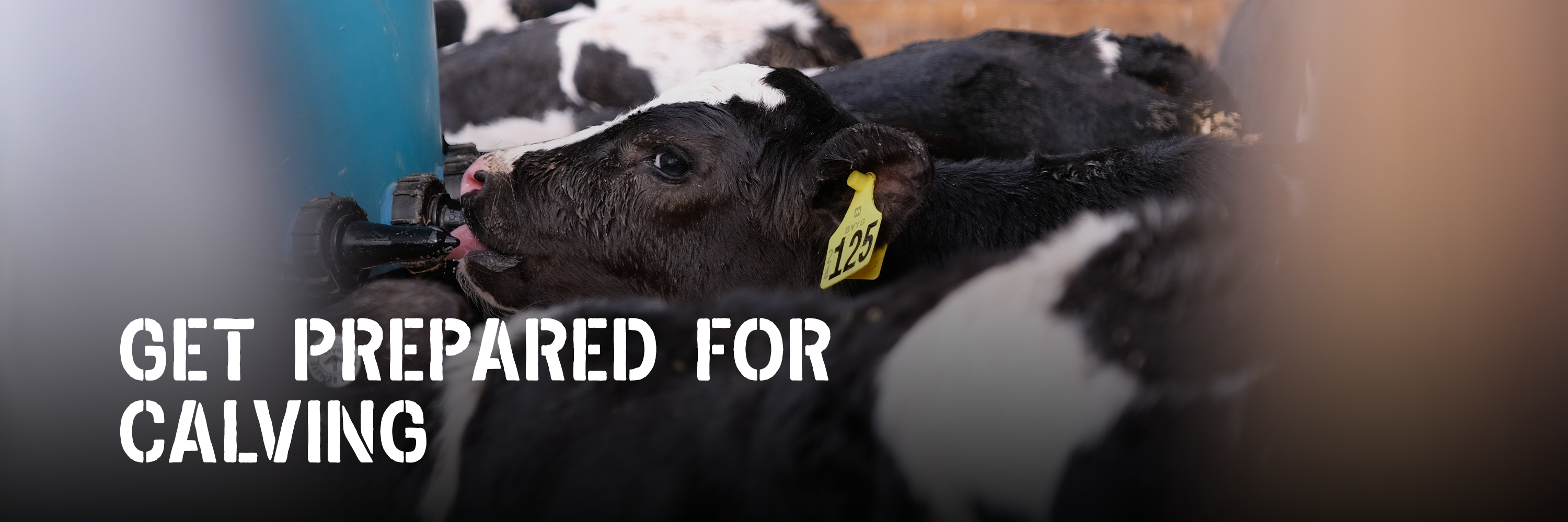 Get prepared for calving