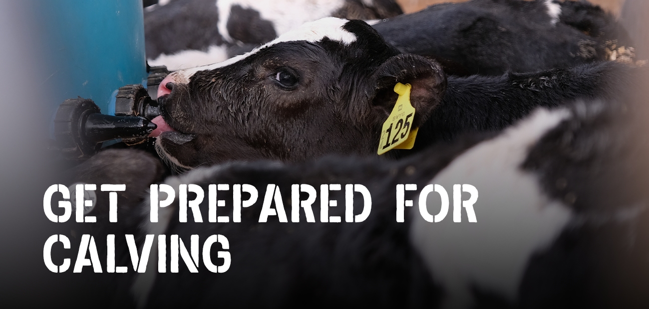 Get prepared for calving