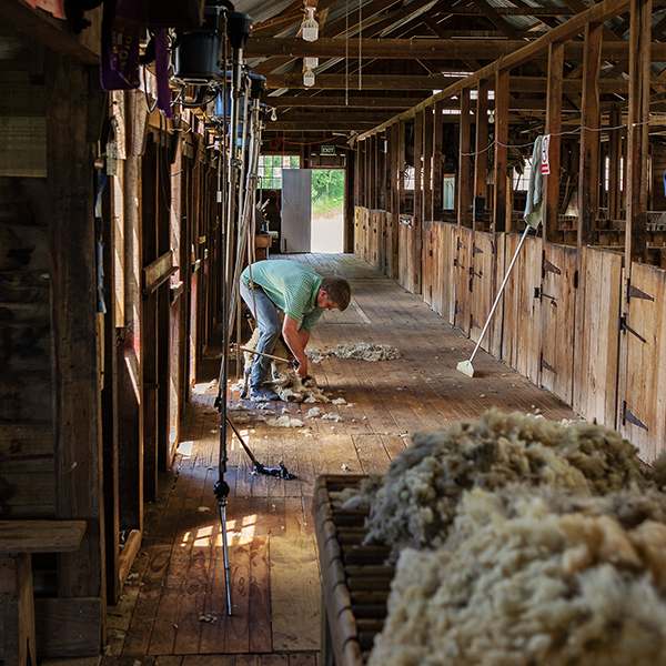 Shed Restores History and Future for Waiau Family