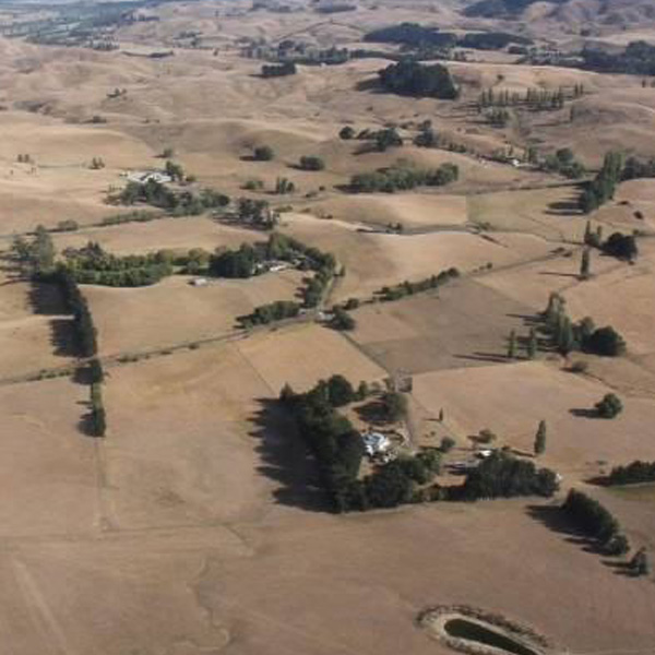 Feed run to the Hawkes Bay drought affected farmers