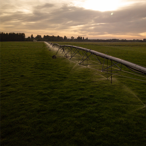 Getting an independent view on farm energy options