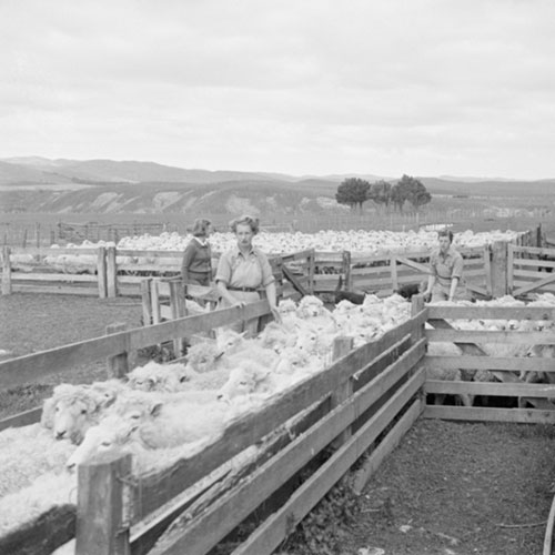 Women at home during war time