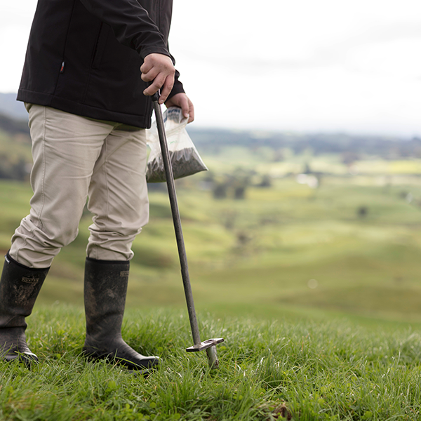 Check your soil's health