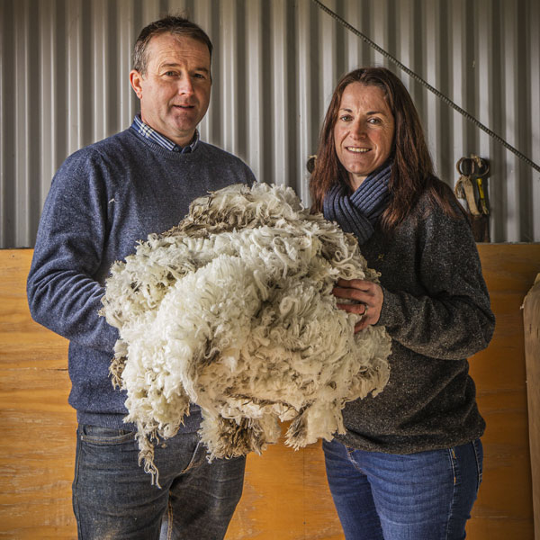 Paddock to yarn - Latest News