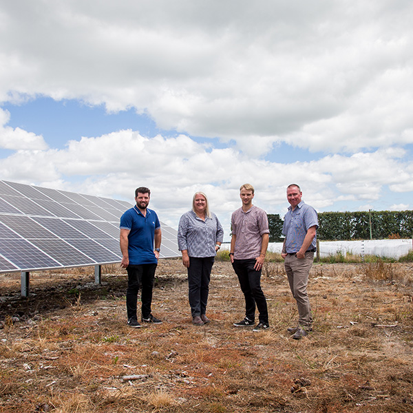 Bright option for solar on farm