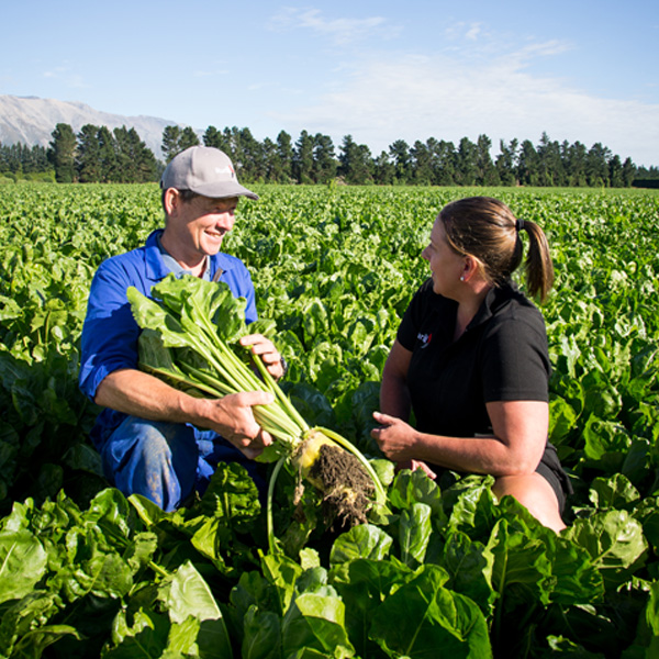 Agronomy Update Autumn 2022