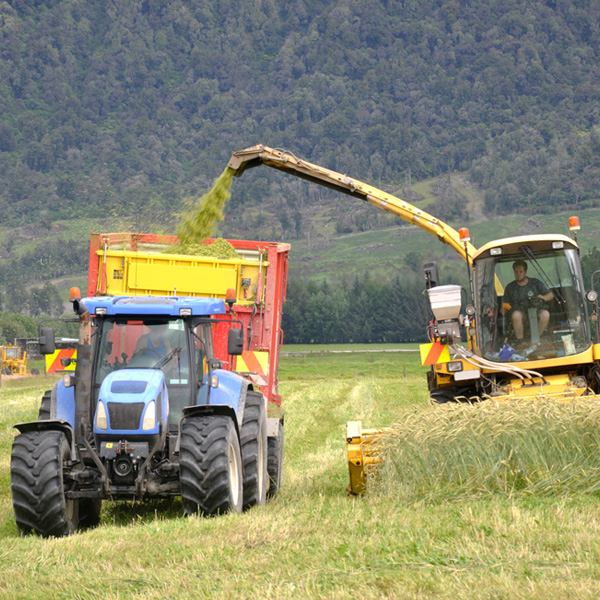 Crop residue nutrients: retain or replace?