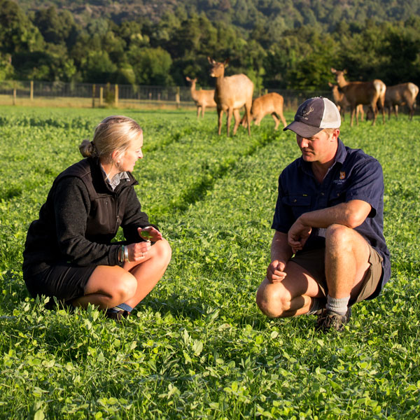 Forward planning with Ruralco lowers spring stress