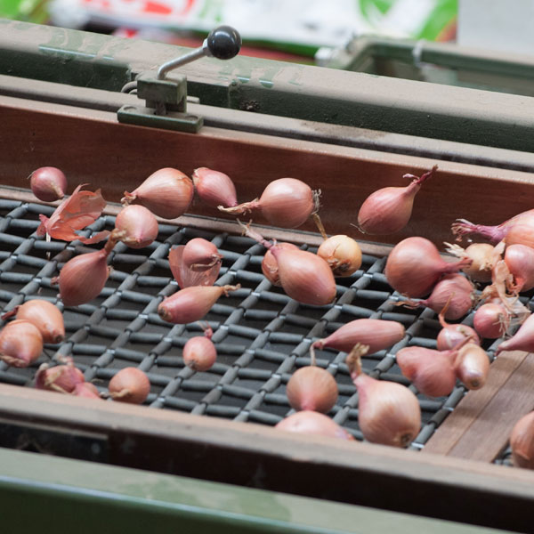 Home grown challenge for NZ food supply