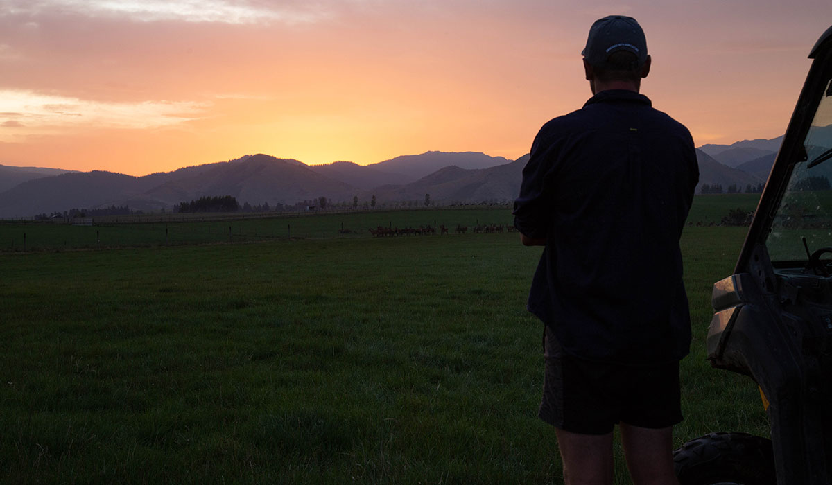 Strengthening rural resilience and wellbeing in challenging times