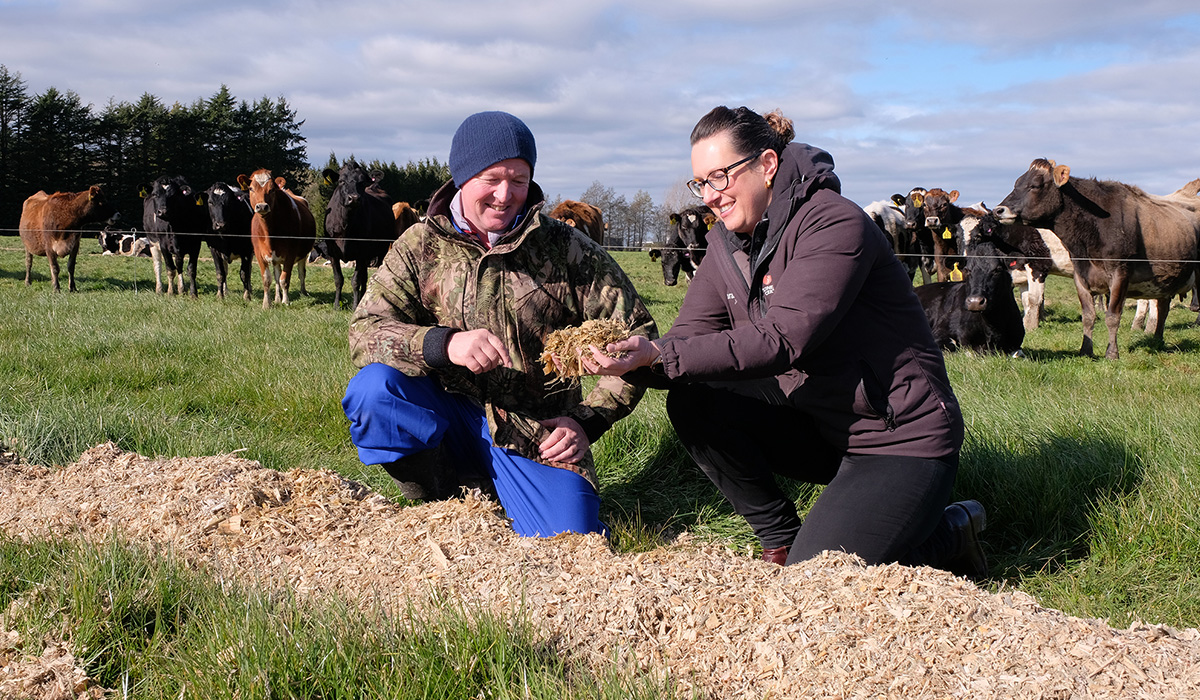 Feed insurance in a variable climate