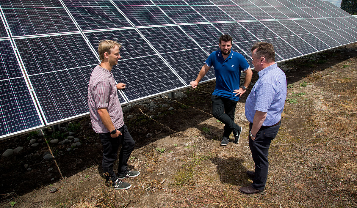 Harnessing the sun: embracing solar energy on farm