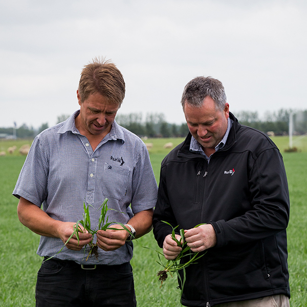 Tight team behind cropping success