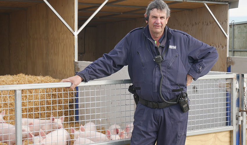 Prison piggery fosters rehabilitation and sustainable farming