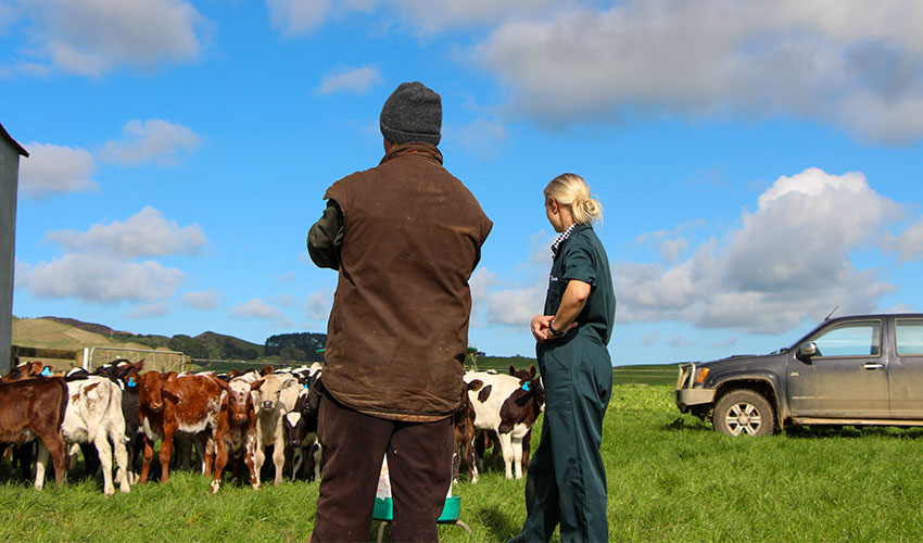 Essential steps for protecting young stock