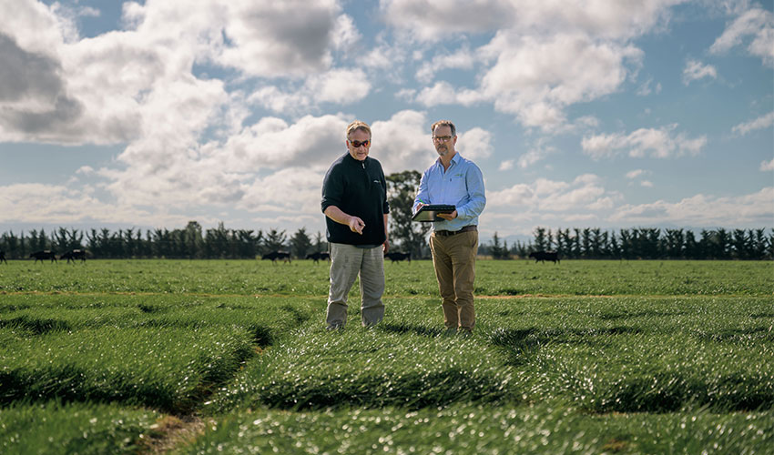 Persistent yields with Stampede CM142