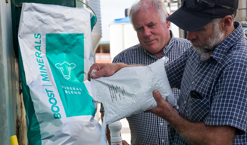 Providing tailored trace minerals for healthy livestock