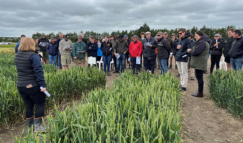 Arable’s big day out at Chertsey