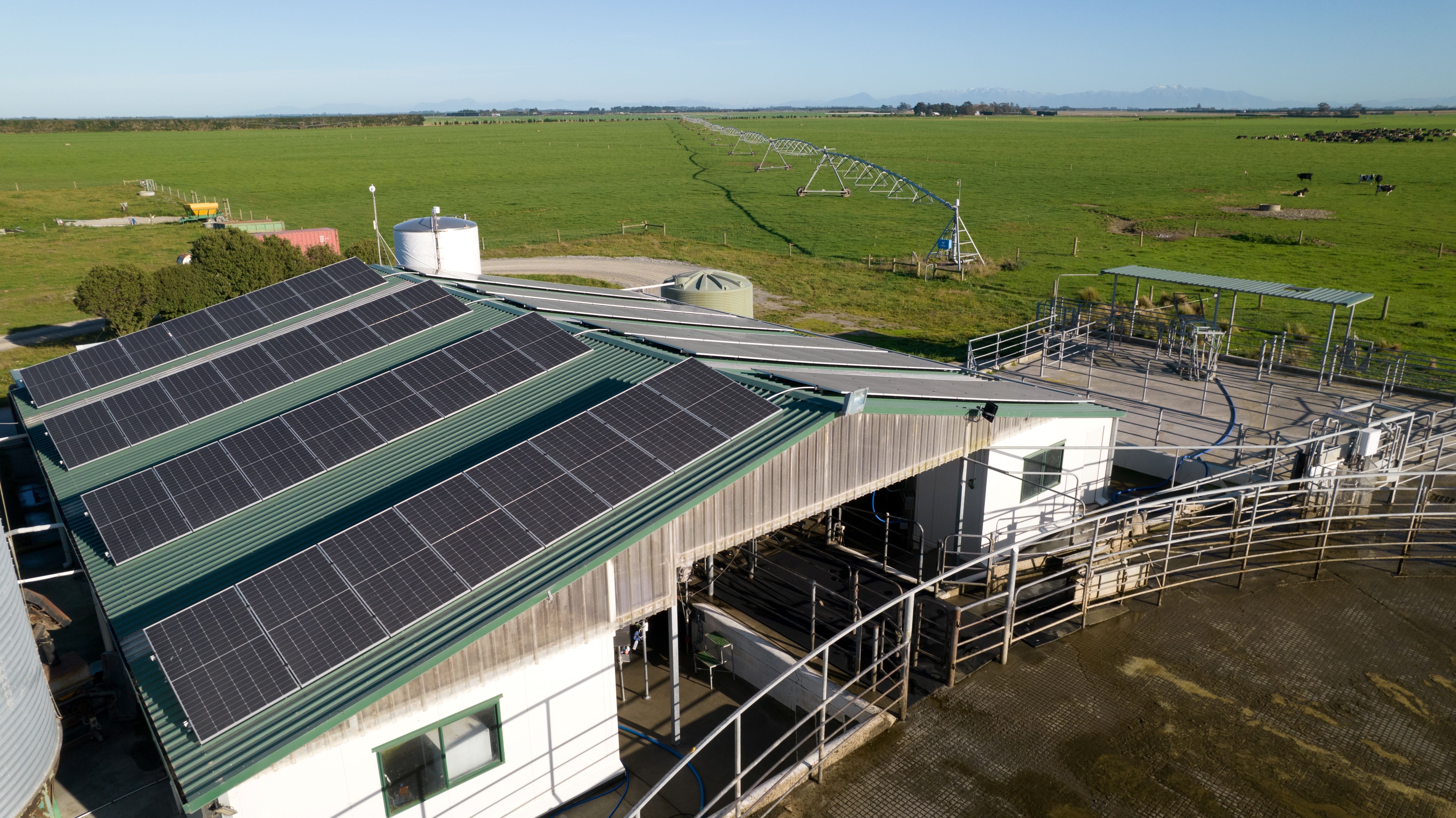 Powering the Land: How ElectraServe is Leading Mid Canterbury’s Solar Revolution