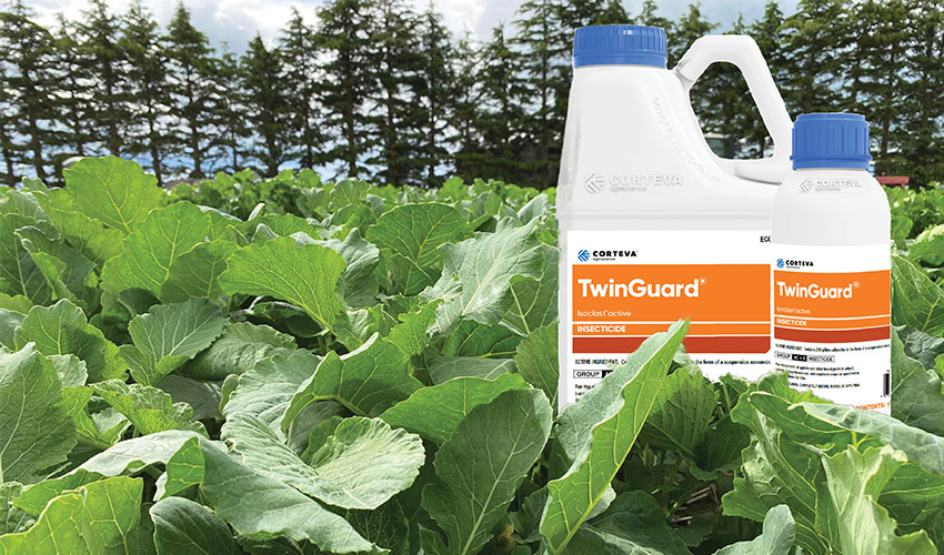TwinGuard® – Take back control of your brassica crop
