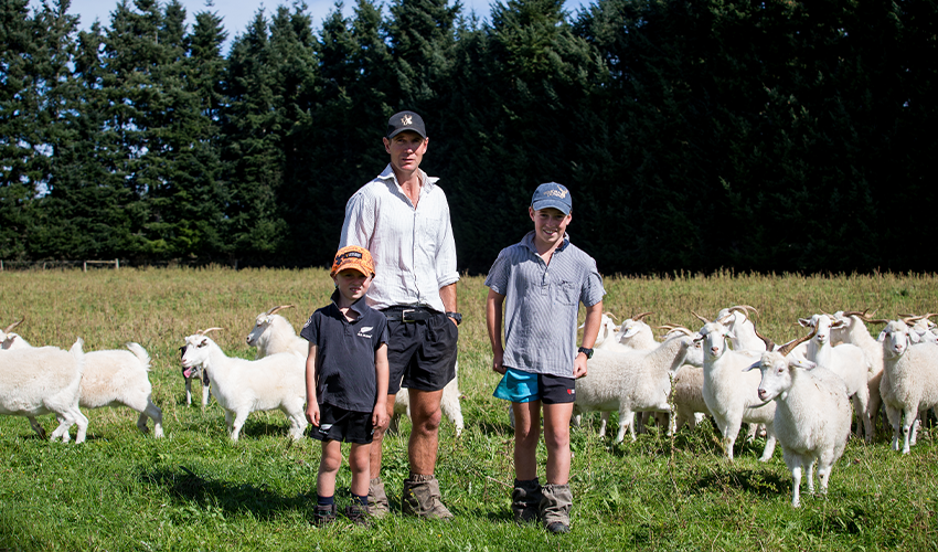 From thistles to threads: Harrison family trials goats 