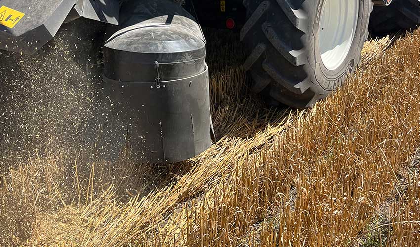 Reducing the weed seed burden at harvest