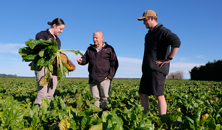 Why co-operative agronomy is better for your bottom line 