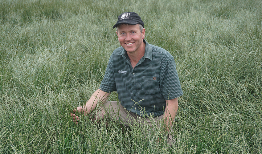 Seed market swinging to positive
