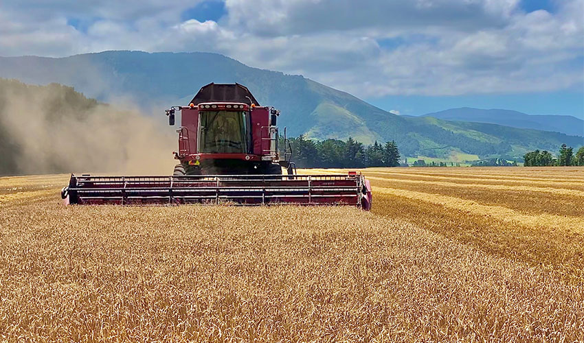 Arable underpins other ag sectors, report shows