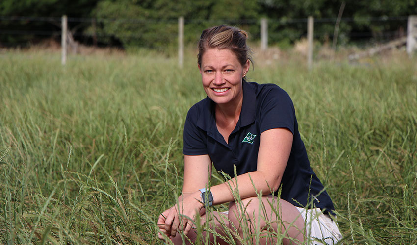 Free herbicide resistance testing