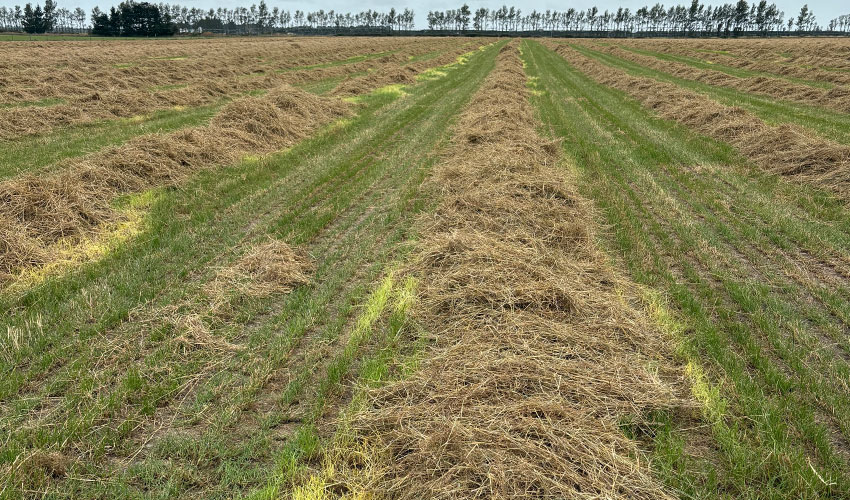 2026 harvest adversity recognised by government
