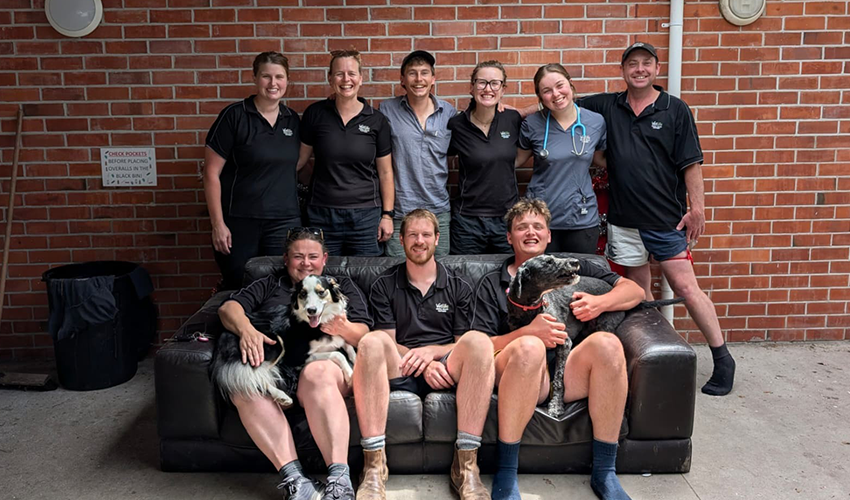 Expert animal care, day and night