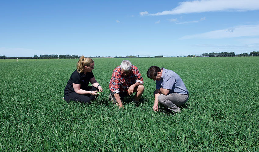 Laying the groundwork for a strong winter season